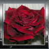 758602_1139634.jpg (100x100, 29Kb)