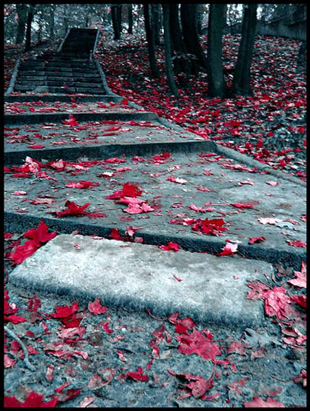 4652857.jpg (452x600, 97Kb)