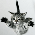 937914_1137505.gif (120x120, 23Kb)