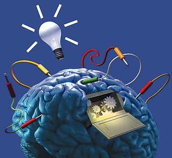 brains.jpg (340x312, 28Kb)