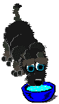 dogs_153.gif (86x150, 17Kb)