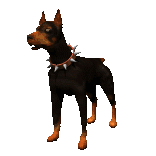dogs_57.gif (156x156, 24Kb)