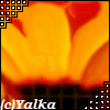 цветок.gif (100x100, 19Kb)