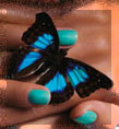1028995_1317567.jpg (109x118, 9Kb)
