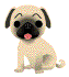 (63x70, 6Kb)