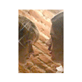  (120x120, 93Kb)