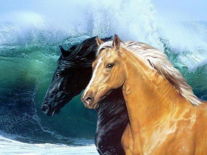  (700x525, 57Kb)