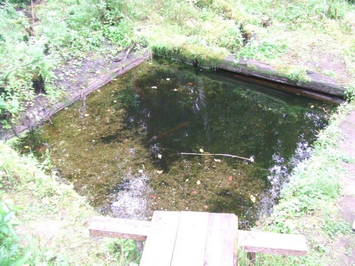  (700x525, 136Kb)