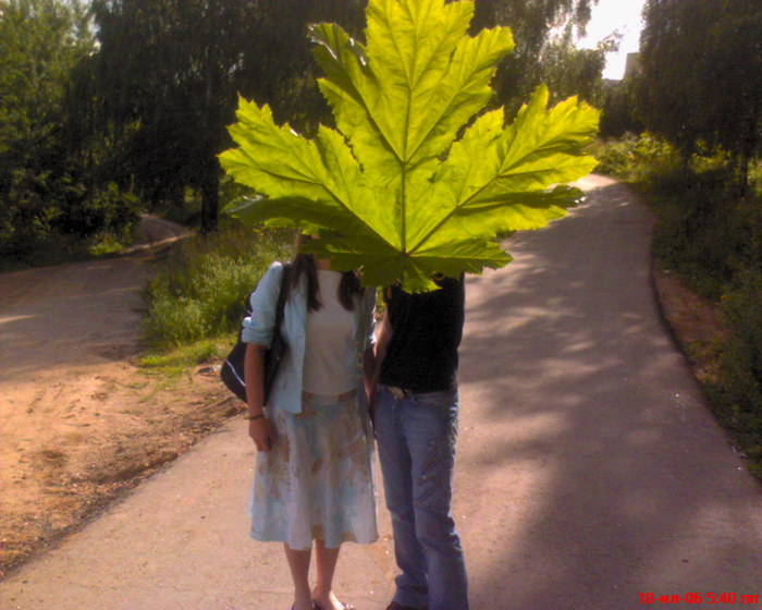  (700x560, 105Kb)