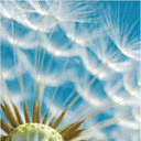  (128x128, 13Kb)