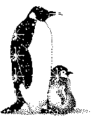 (132x174, 3Kb)