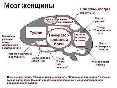  (490x368, 40Kb)