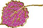  (146x96, 13Kb)