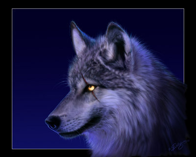  (400x322, 36Kb)