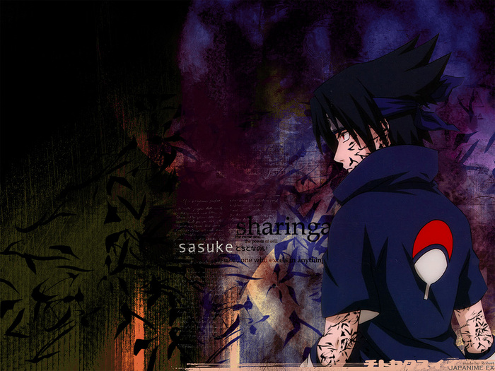 (700x525, 187Kb)