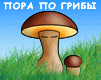  (101x80, 7Kb)