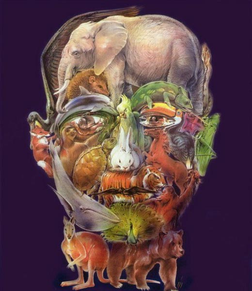  (520x600, 53Kb)