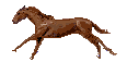  (116x57, 9Kb)