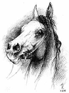  (225x300, 12Kb)