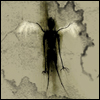  (100x100, 31Kb)
