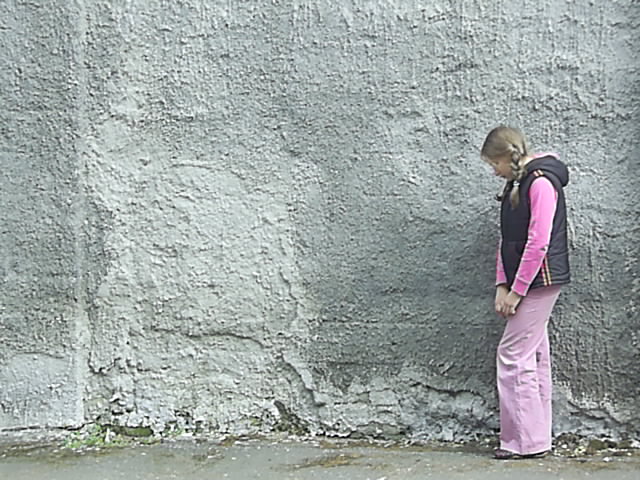  (640x480, 100Kb)