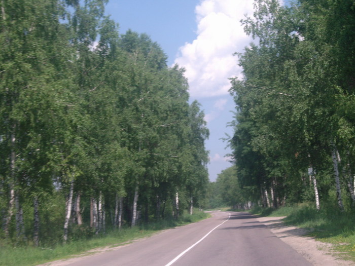  (700x525, 112Kb)