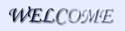  (400x100, 86Kb)