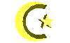  (100x62, 17Kb)