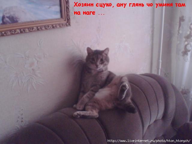  (640x480, 28Kb)