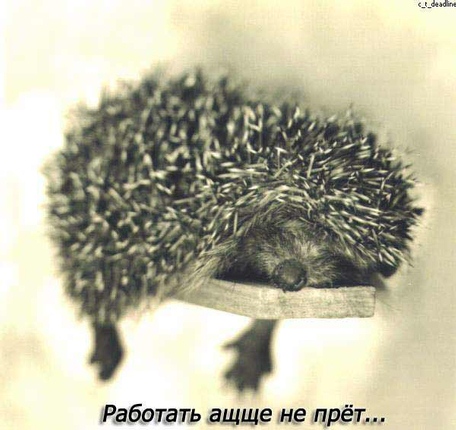 (456x430, 79Kb)