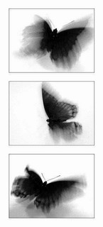  (145x320, 9Kb)