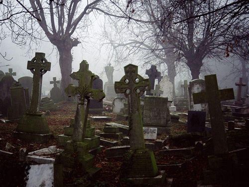  (500x375, 48Kb)