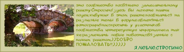  (700x200, 33Kb)
