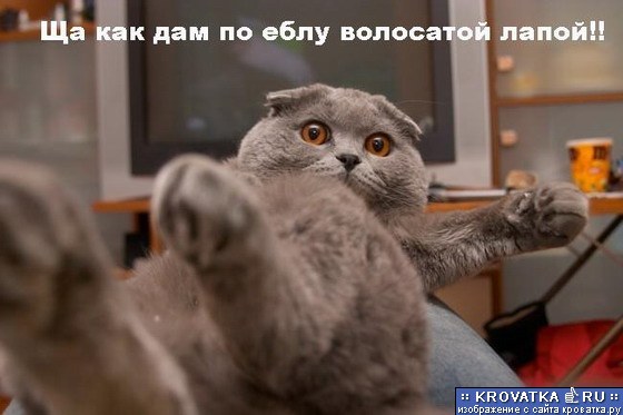 (560x373, 40Kb)