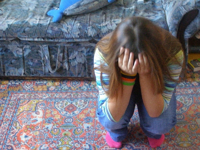  (700x525, 248Kb)