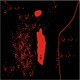  (80x80, 31Kb)