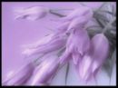  (130x97, 3Kb)