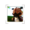  (100x100, 38Kb)