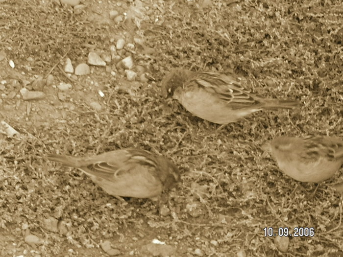  (700x525, 171Kb)