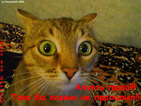  (450x338, 47Kb)