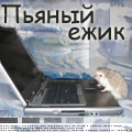  (120x120, 33Kb)