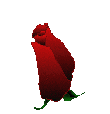  (110x114, 59Kb)