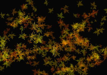  (340x240, 53Kb)
