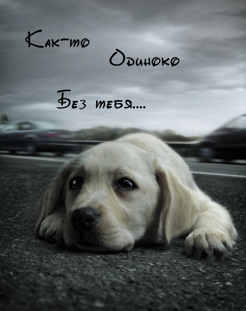  (494x624, 163Kb)