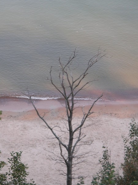  (450x600, 62Kb)