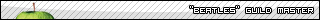  (320x20, 28Kb)
