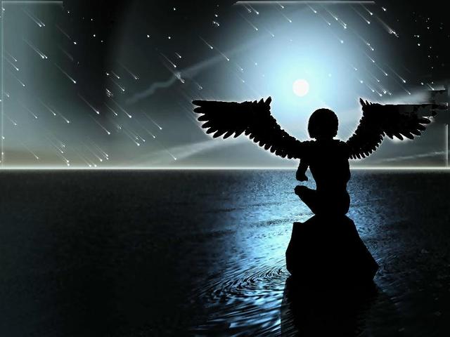  (640x480, 31Kb)