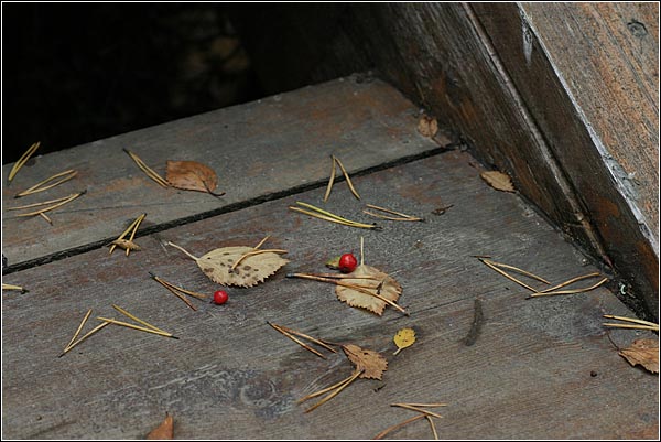  (600x401, 97Kb)