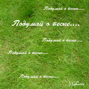  (300x300, 39Kb)