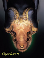  (150x200, 11Kb)